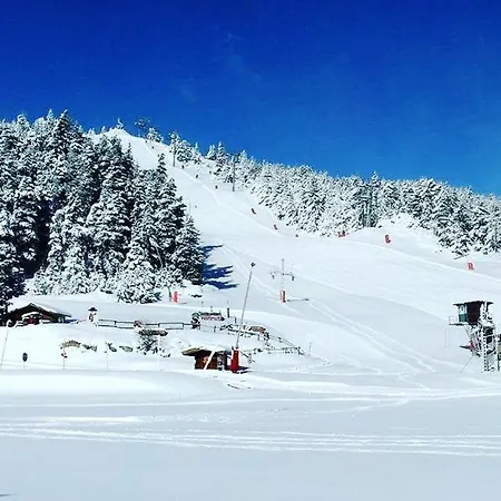 Studio La Poule Au Pot Pieds Des Pistes Font Romeu Pyrénées 2000 Appartement