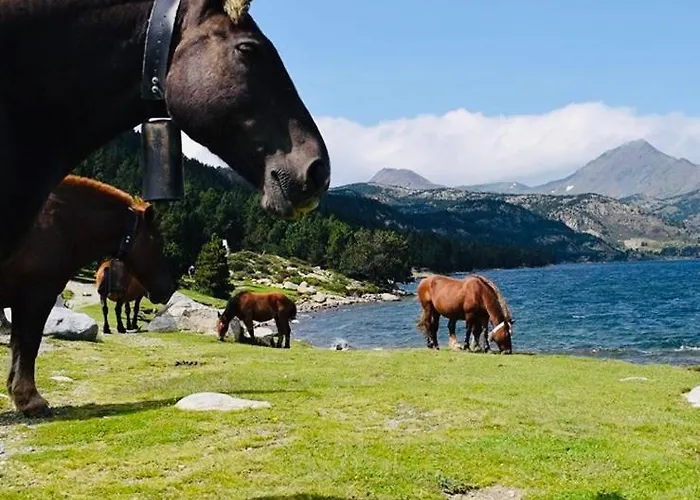 Апартаменты La Poule Au Pot Pieds Des Pistes Font Romeu Pyrenees 2000 Bolquere